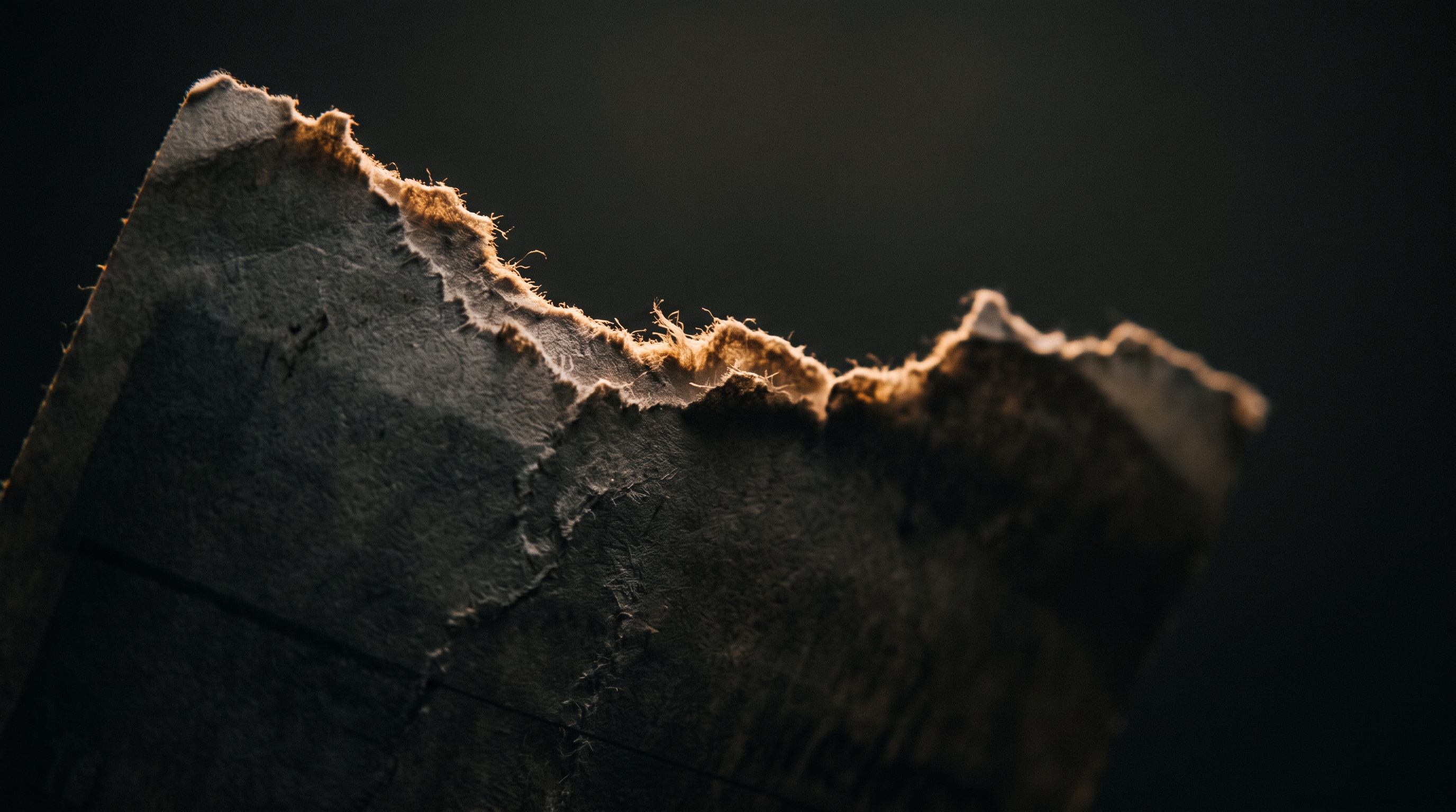Dark, moody close-up of a calendar page turned to February 29